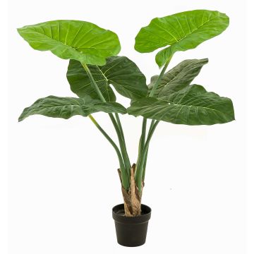 Umělá rostlina Alocasia Calidora NICAS, dekorativní květináč, zelená, 90cm Umělá rostlina Alocasia Calidora NICAS, dekorativní květináč, zelená, 90cm