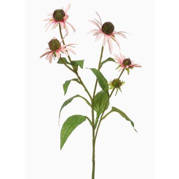 Dekorativní větev třapatka MILROV, světle růžová, 75cm