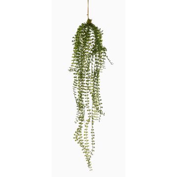 Závěsná umělá rostlina Ficus pumila TAMON, zelená, 90cm Závěsná umělá rostlina Ficus pumila TAMON, zelená, 90cm