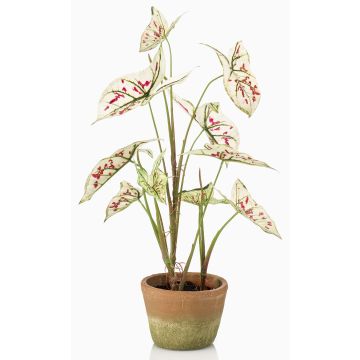 Umělá rostlina Syngonium YOMREL v terakotovém květináči, krémově červená, 60cm Umělá rostlina Syngonium YOMREL v terakotovém květináči, krémově červená, 60cm