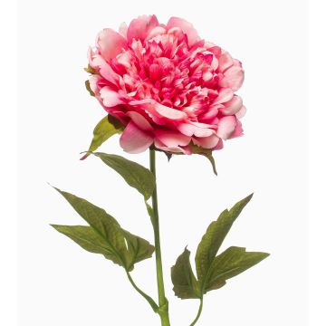 Umělá pivoňka GAVRON, růžová, 55cm