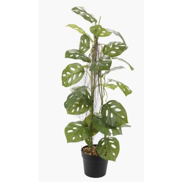 Umělá rostlina Philodendron monstera adansonii BRINOL, dekorativní květináč, vzdušné kořeny, 80cm Umělá rostlina Philodendron monstera adansonii BRINOL, dekorativní květináč, vzdušné kořeny, 80cm