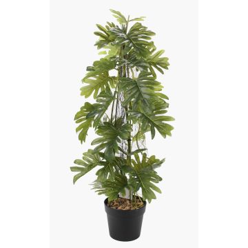Umělá rostlina Philodendron selloum BRINOL, dekorativní květináč, vzdušné kořeny, 80cm