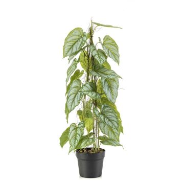 Umělá rostlina plamének květ RIFLEM, dekorativní květináč, vzdušné kořeny, zelená, 80cm