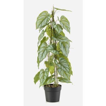 Umělá rostlina plamének květ BRINOL, dekorativní květináč, vzdušné kořeny, zelená, 80cm Umělá rostlina plamének květ BRINOL, dekorativní květináč, vzdušné kořeny, zelená, 80cm