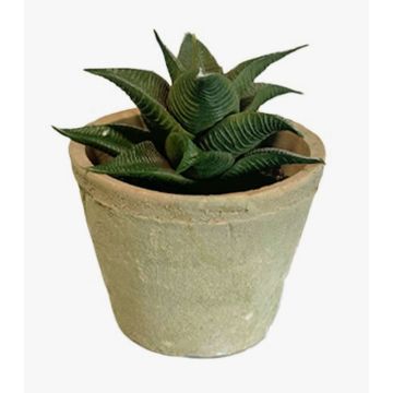 Umělý sukulent Haworthia limifolia GLOFER v terakotovém květináči, tmavě zelený, 13cm