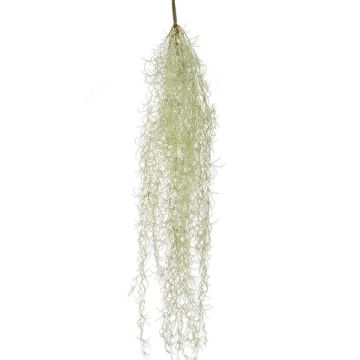 Umělý sukulent Tillandsia usneoides BRAVIK na tyči, nehořlavý, šedý, 85cm