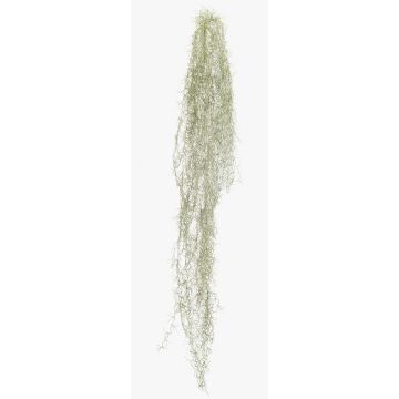 Umělý sukulent Tillandsia usneoides BRAVIK, tyčový, nehořlavý, šedý, 150cm