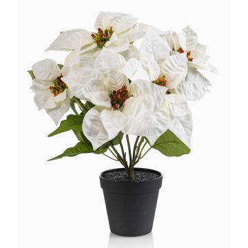 Umělá poinsettie GRULEN v dekorativním květináči, krémová, 40cm