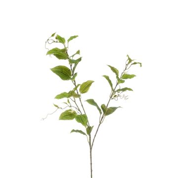 Dekorativní větvička plaménku VLORIX, zeleno-krémová, 105cm