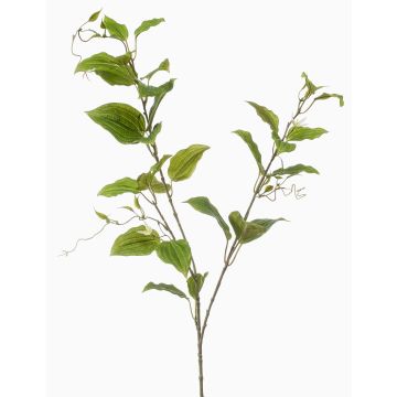 Dekorativní větvička plaménku VLORIX, zeleno-krémová, 105cm