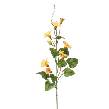 Dekorativní větvička petúnie KORFEN, žluto-broskvová, 75cm Dekorativní větvička petúnie KORFEN, žluto-broskvová, 75cm