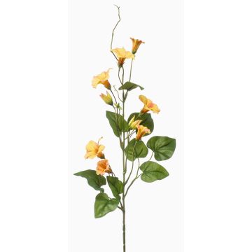 Dekorativní větvička petúnie KORFEN, žluto-broskvová, 75cm Dekorativní větvička petúnie KORFEN, žluto-broskvová, 75cm