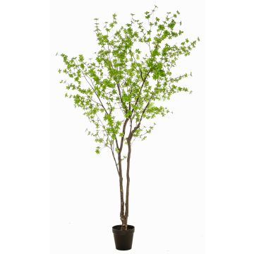 Umělý stromek nasturtium NEVKAR v dekorativním květináči, umělé stonky, zelený, 300cm Umělý stromek nasturtium NEVKAR v dekorativním květináči, umělé stonky, zelený, 300cm