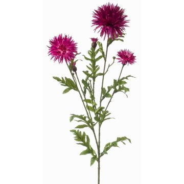 Dekorativní chrpa BROLIX, fialová, 100cm