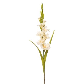 Umělá gladiola NOVNIF, krémová, 95cm