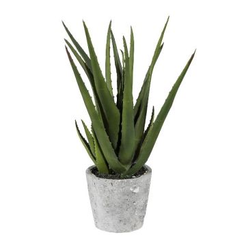 Dekorativní sukulent Aloe vera BRIZE v cementovém květináči, zelenožlutý, 40cm