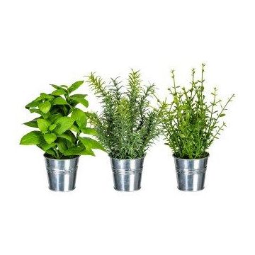 Umělá směs bylinek DRILHO, bazalka, rozmarýn, tymián, 3 kusy, zinkový květináč, zelená, 23-26cm
