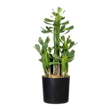 Umělý kaktus Euphorbia trigona MANDOR, zelený, 40cm