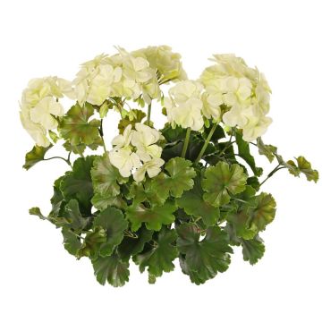 Dekorativní květina pelargonie MALINA na tyči, crossdoor, krémová, 40cm
