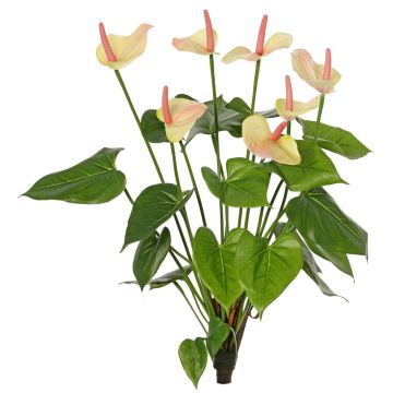 Dekorativní květina Anthurium NAKITA na tyči, růžovo-krémová, 50cm