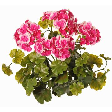 Dekorační pelargonie MALINA na tyči, křížová, růžovo-fuchsiová, 40cm Dekorační pelargonie MALINA na tyči, křížová, růžovo-fuchsiová, 40cm