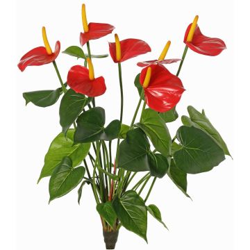 Dekorativní květina Anthurium NAKITA na tyči, červená, 50cm Dekorativní květina Anthurium NAKITA na tyči, červená, 50cm