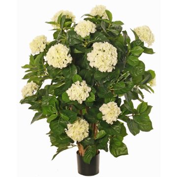 Umělá hortenzie PINDO, krémová, 95cm Umělá hortenzie PINDO, krémová, 95cm