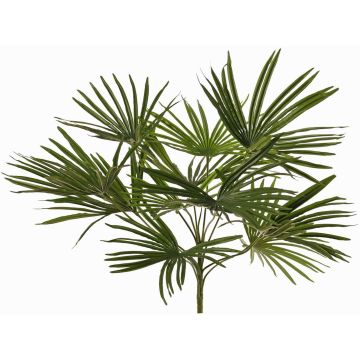 Umělá palma Washingtonia SAIMA na tyči, křížová, 50cm Umělá palma Washingtonia SAIMA na tyči, křížová, 50cm