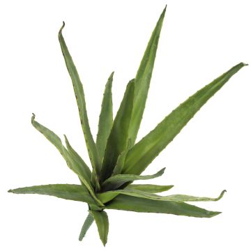 Umělé aloe vera VERENA, se zápichem, pro interiér i exteriér, zelená, 50cm, Ø40cm