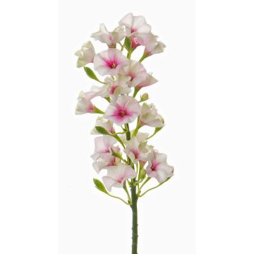 Umělá rostlina plamenka ALSA, bílo-růžová, 35cm, Ø6cm
