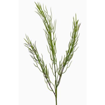 Umělá větvička cypřiše BERFIN, zelená, 45cm Umělá větvička cypřiše BERFIN, zelená, 45cm