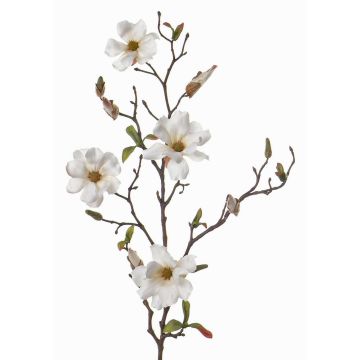 Umělý šácholan MARGA, bílá, 80cm, Ø6-8cm Umělý šácholan MARGA, bílá, 80cm, Ø6-8cm