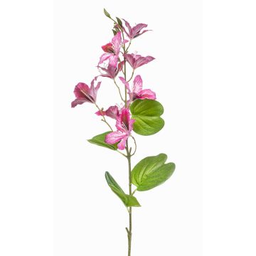 Dekorativní větvička Bauhinia DOWLER, růžová, 85cm Dekorativní větvička Bauhinia DOWLER, růžová, 85cm