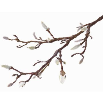 Umělá větvička šácholanu ASANI, bílá, 70cm, Ø1-2cm Umělá větvička šácholanu ASANI, bílá, 70cm, Ø1-2cm