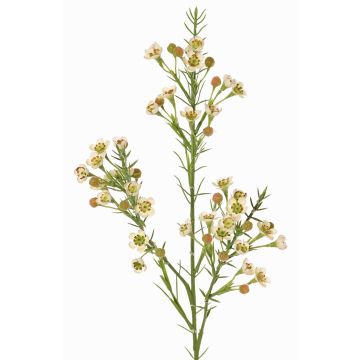 Dekorační větvička voskové květiny FRINDALS, krémová, 65cm, Ø1,5-2cm