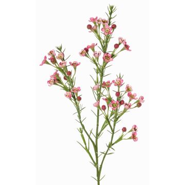 Dekorativní větev voskový květ FRINDALS, tmavě růžová, 65cm, Ø1,5-2cm