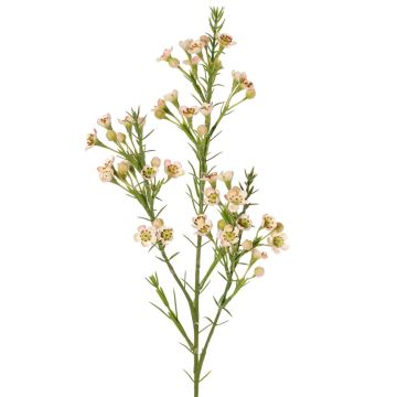 Dekorativní voskový květ FRINDALS, světle růžovo-bílý, 65cm