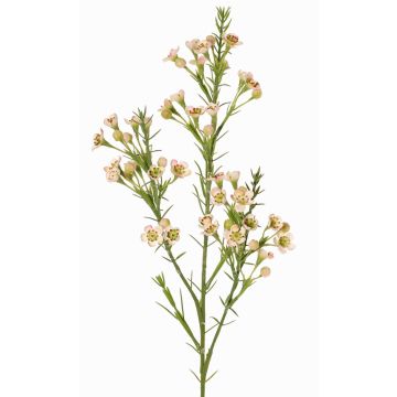 Dekorativní voskový květ FRINDALS, světle růžovo-bílý, 65cm, Ø1,5-2cm