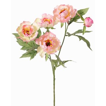 Umělá větvička pivoňky LARDUAN, Eco Collection, růžovo-bílá, 60cm, Ø7cm Umělá větvička pivoňky LARDUAN, Eco Collection, růžovo-bílá, 60cm, Ø7cm
