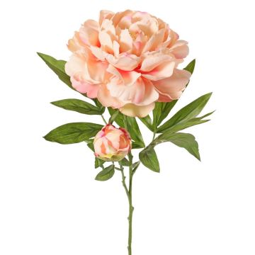 Umělá pivoňka WARDUAN, Eco Collection, lososová, 65cm, Ø15cm
