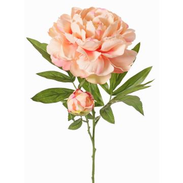 Umělá pivoňka WARDUAN, Eco Collection, lososová, 65cm, Ø15cm Umělá pivoňka WARDUAN, Eco Collection, lososová, 65cm, Ø15cm