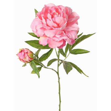 Umělá pivoňka WARDUAN, Eco Collection, růžová, 65cm, Ø15cm