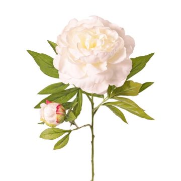 Umělá pivoňka WARDUAN, Eco Collection, bílá, 65cm, Ø15cm