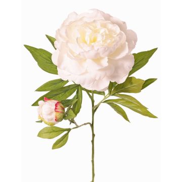 Umělá pivoňka WARDUAN, Eco Collection, bílá, 65cm, Ø15cm Umělá pivoňka WARDUAN, Eco Collection, bílá, 65cm, Ø15cm