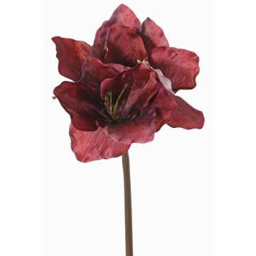 Umělý amarylis SARDUAN, burgundská, 65cm, Ø10cm Umělý amarylis SARDUAN, burgundská, 65cm, Ø10cm