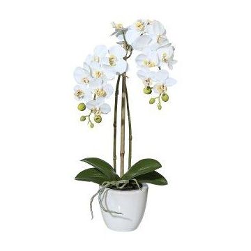 Umělá orchidej Phalaenopsis LARKEN v keramickém květináči, kořeny, bílá, 45cm Umělá orchidej Phalaenopsis LARKEN v keramickém květináči, kořeny, bílá, 45cm