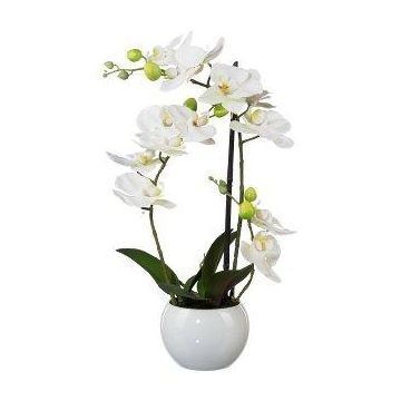 Textilní orchidej Phalaenopsis INAKES, keramický květináč, kořeny, bílá, 40cm Textilní orchidej Phalaenopsis INAKES, keramický květináč, kořeny, bílá, 40cm