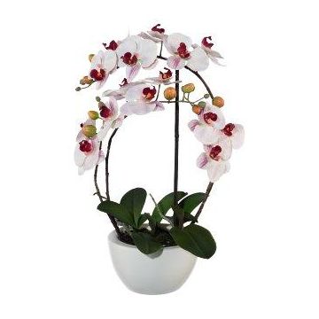 Textilní orchidej Phalaenopsis INAKES, keramický květináč, kořeny, růžovo-bílá, 50cm Textilní orchidej Phalaenopsis INAKES, keramický květináč, kořeny, růžovo-bílá, 50cm