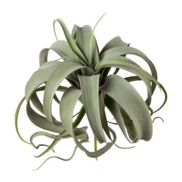 Umělý sukulent Tillandsia xerographica TRUMSY, tyč, zelená, 28cm, Ø25cm